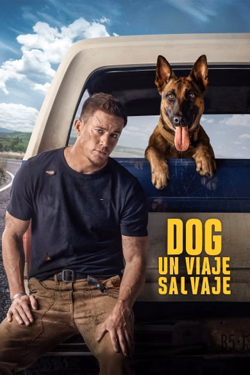 Póster de Dog - Un viaje salvaje