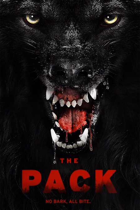 Póster de la película La Manada