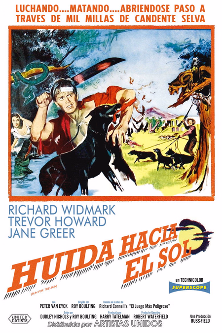 Póster de la película Huida hacia el sol
