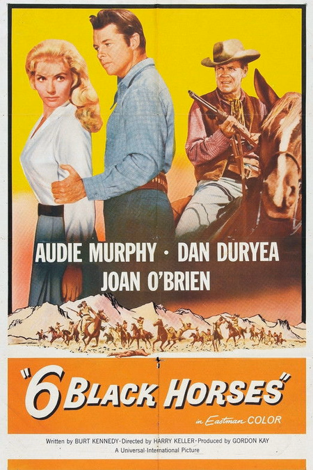 Póster de la película Seis caballos negros