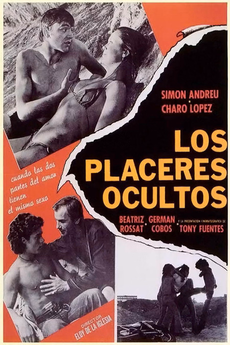 Póster de la película Los placeres ocultos