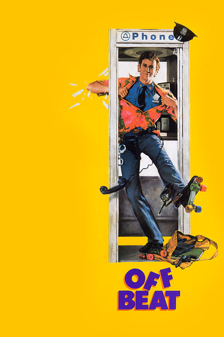 Póster de la película Policía por error