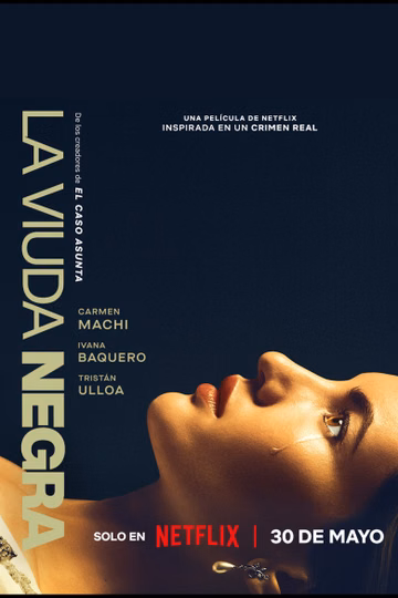 Póster de La viuda negra