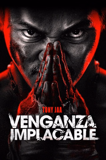 Póster de Venganza implacable