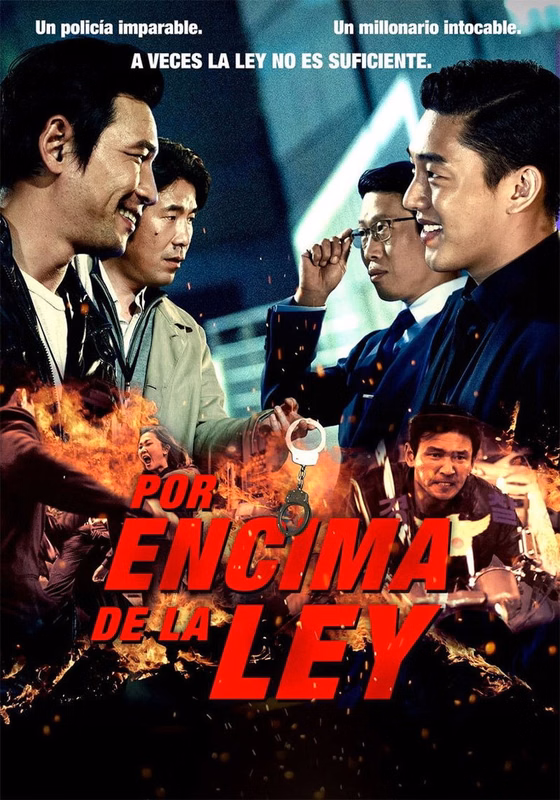 Póster de Por Encima De La Ley