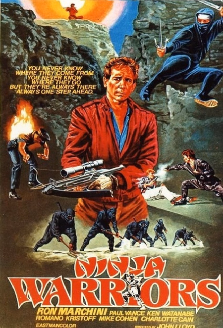 Póster de la película Ninja Warriors