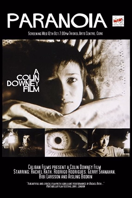 Póster de la película Paranoia