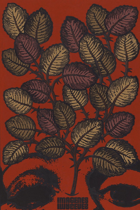 Póster de la película Imágenes