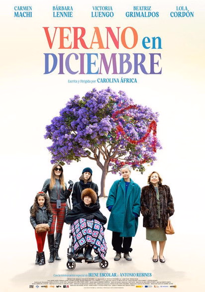 Póster de la película Verano en diciembre