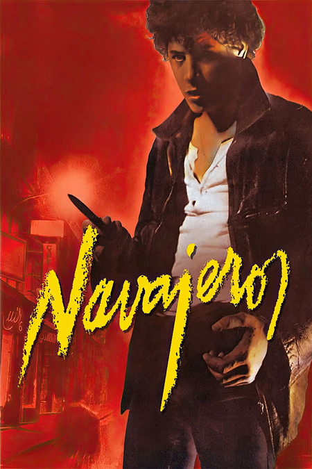 Póster de la película Navajeros