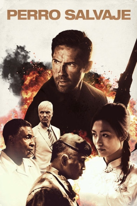 Póster de la película Perro salvaje