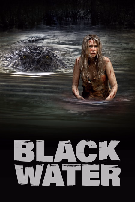 Póster de la película Black Water