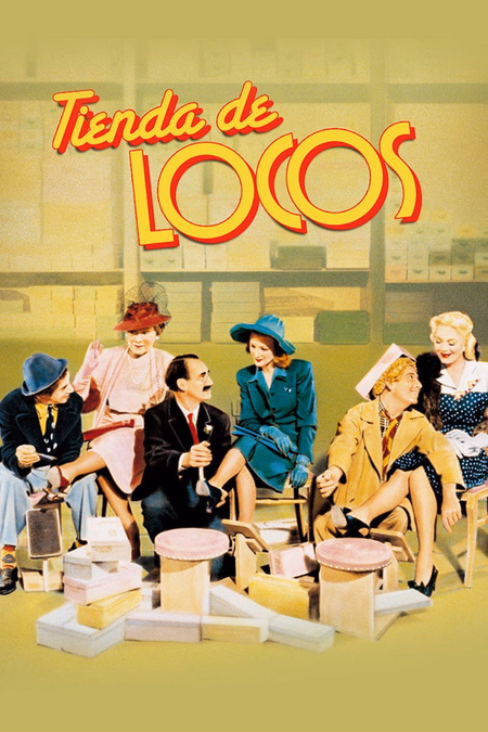 Póster de la película Tienda de locos