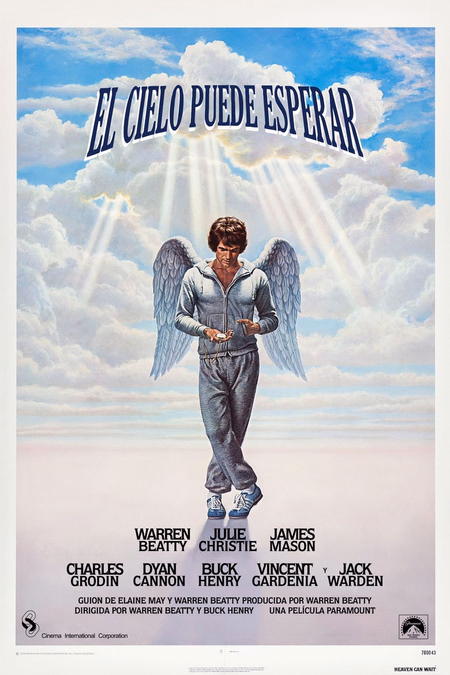 Póster de la película El cielo puede esperar