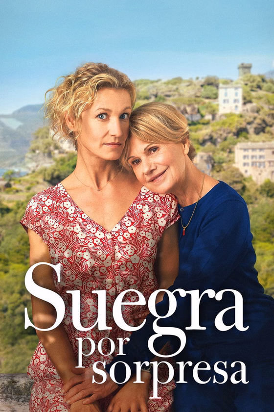 Póster de Suegra por sorpresa