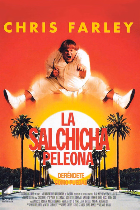 Póster de la película La salchicha peleona