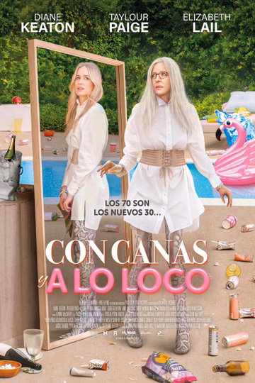 Póster de Con canas y a lo loco