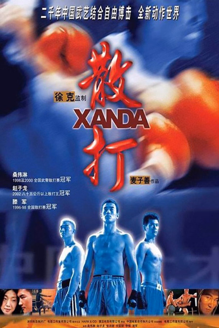 Póster de la película Combate final (Xanda)
