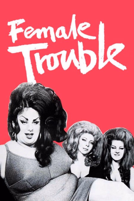 Póster de la película Cosas de hembras