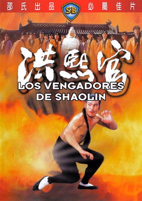 Póster de la película Los vengadores de Shaolin