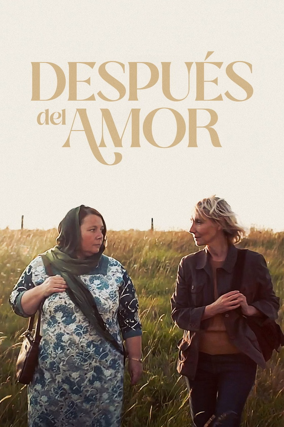 Póster de Después del amor