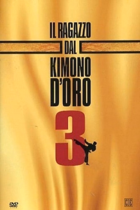 Póster de la película Karate kimura 3