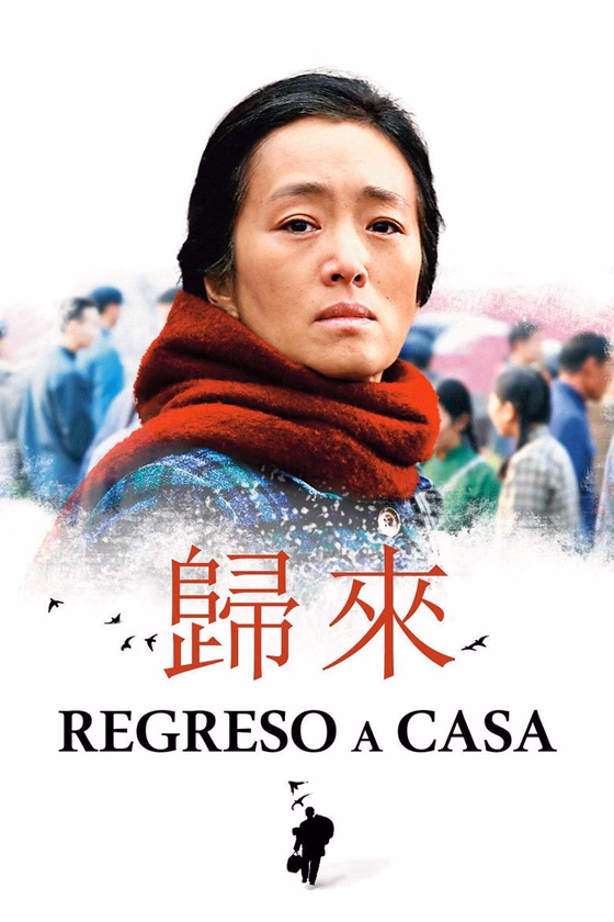 Póster de Regreso A Casa