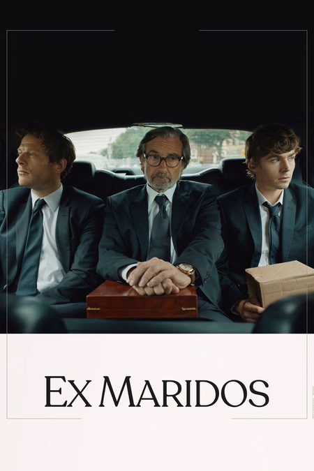 Póster de la película Ex-Husbands