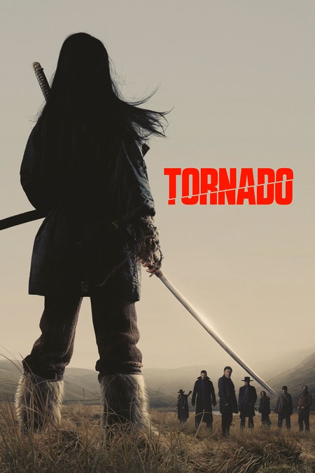 Póster de la película Tornado