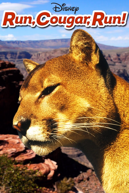 Póster de la película El último puma