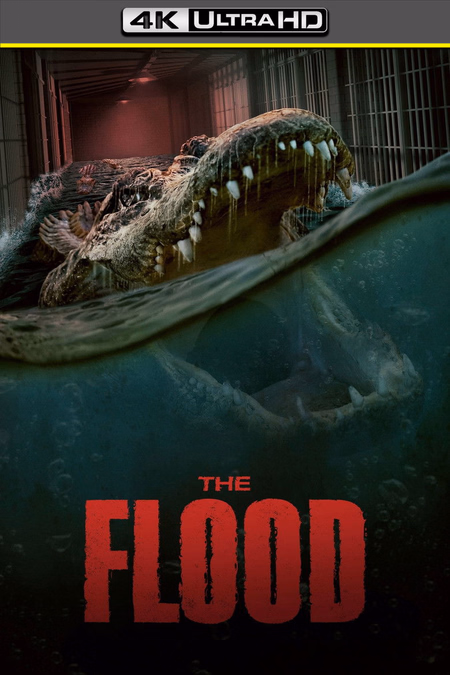 Póster de la película The Flood