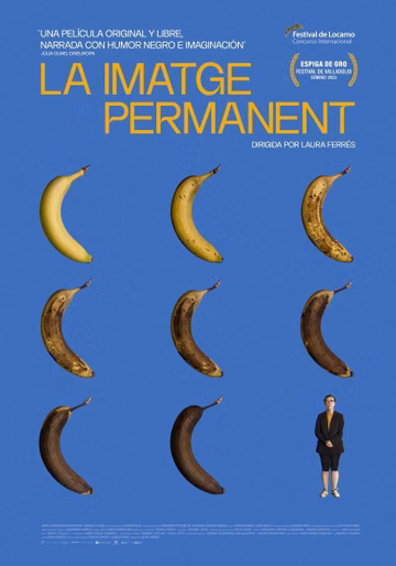 Póster de La imagen permanente
