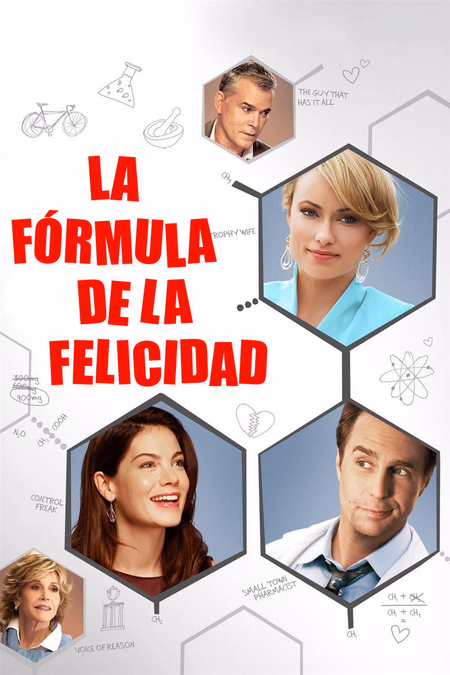 Póster de la película La fórmula de la felicidad