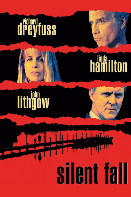 Póster de la película Un testigo en silencio