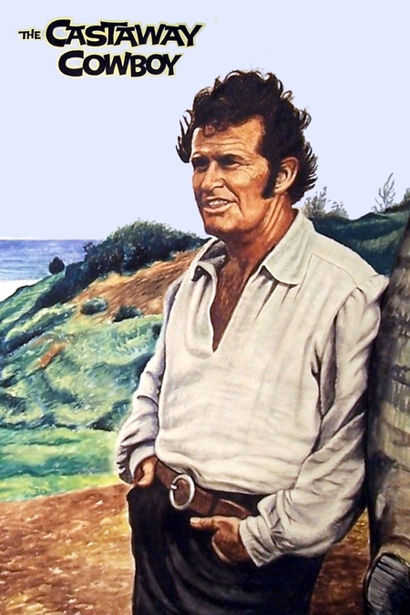 Póster de la película El cowboy náufrago