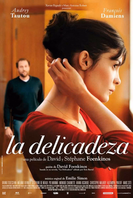 Póster de la película La delicadeza