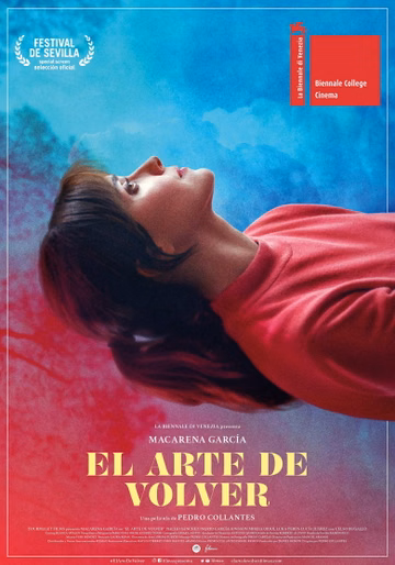 Póster de El arte de volver