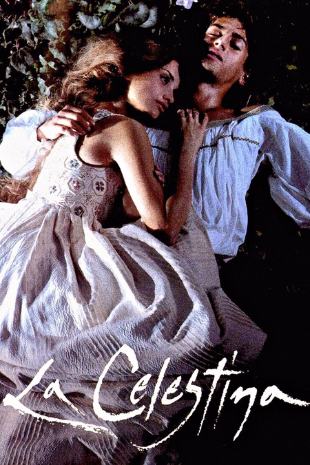 Póster de la película La Celestina