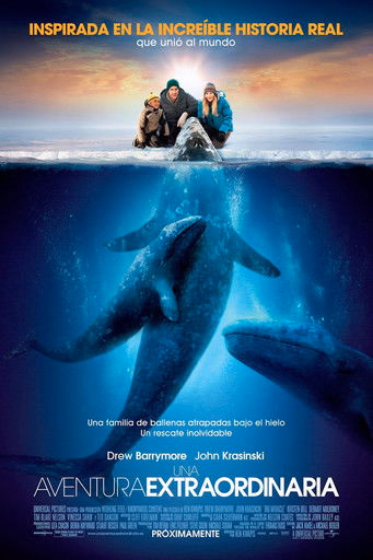 Póster de la película Una aventura extraordinaria