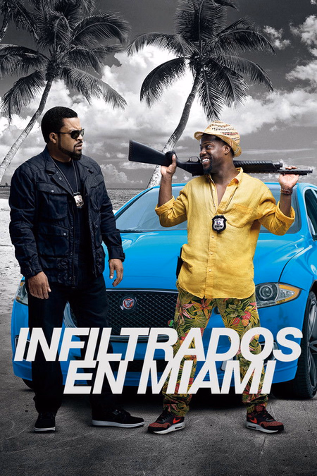 Póster de la película Infiltrados en Miami