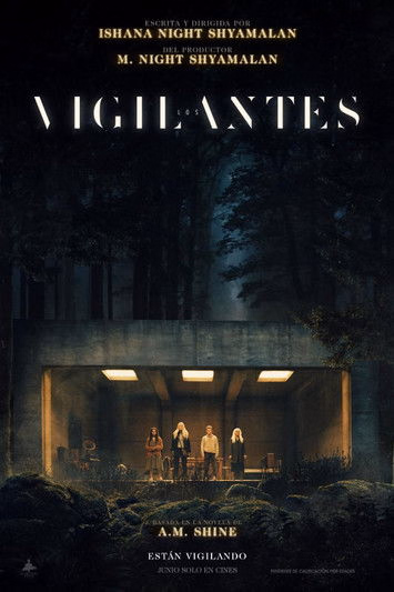 Póster de la película Los vigilantes