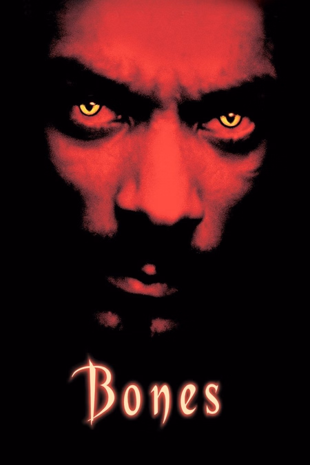 Póster de la película Bones