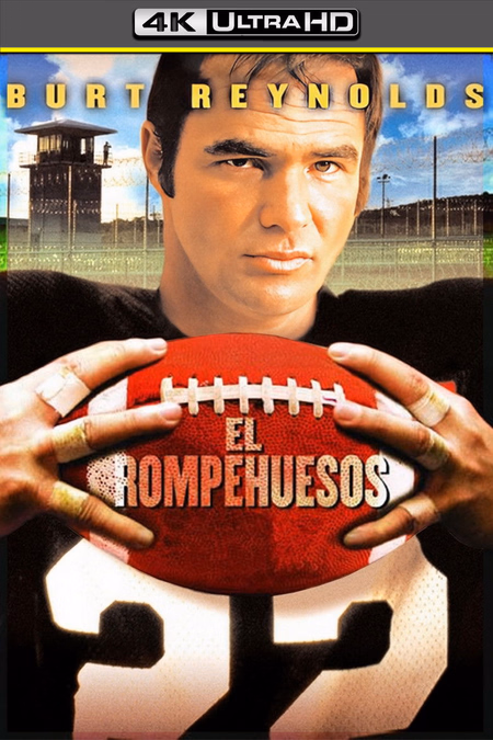Póster de la película Rompehuesos