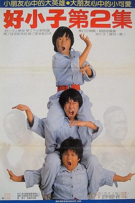 Póster de la película Los Kung Fu Kids 2