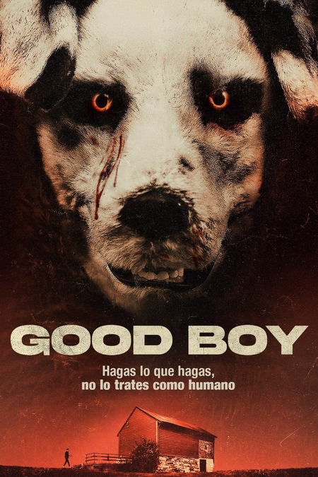 Póster de la película Good Boy