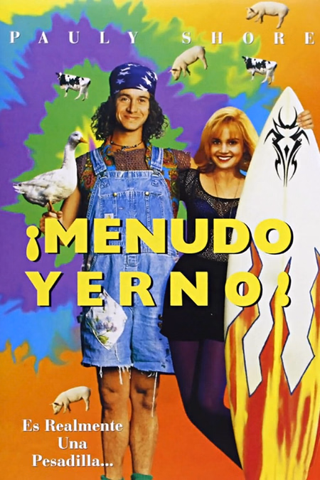 Póster de la película ¡Menudo yerno!