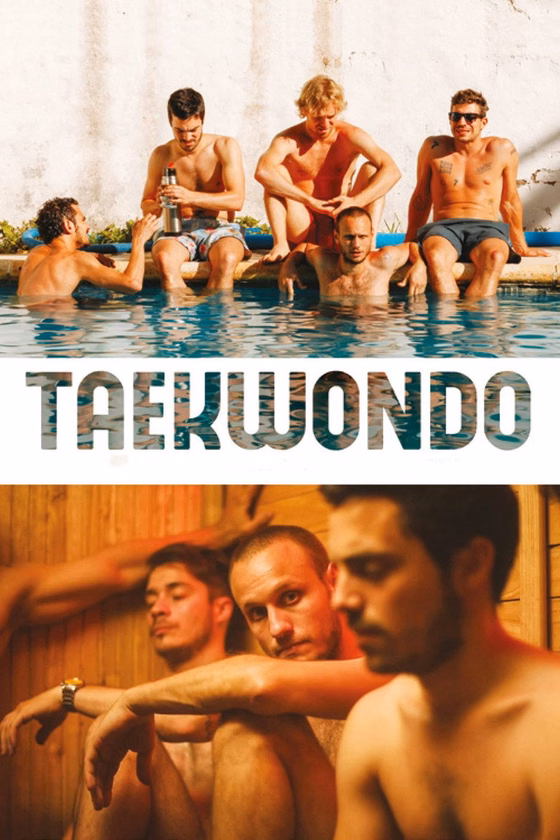 Póster de Taekwondo