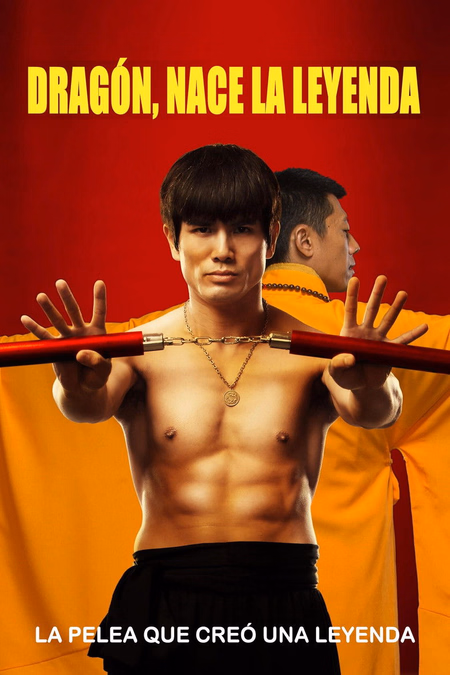 Póster de la película Dragón, nace la leyenda