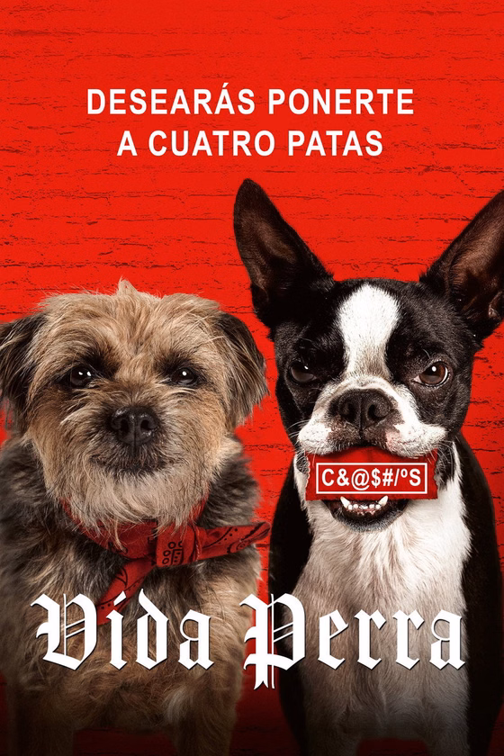 Póster de Vida perra