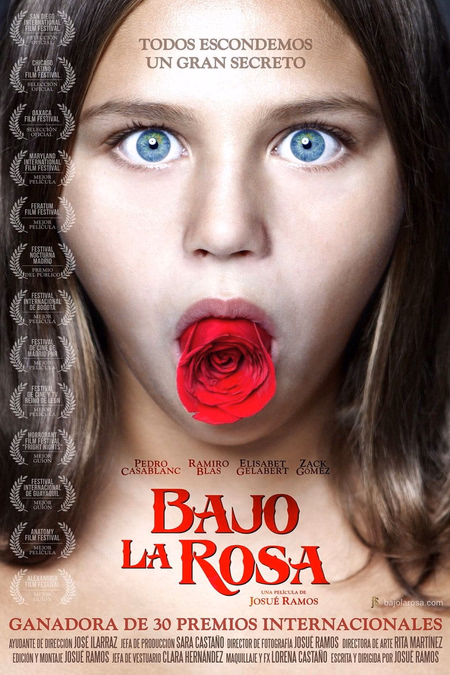 Póster de la película Bajo la rosa